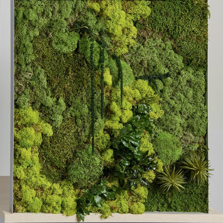 Cadre carré en mousse naturelle stabilisée coloris vert 60x60