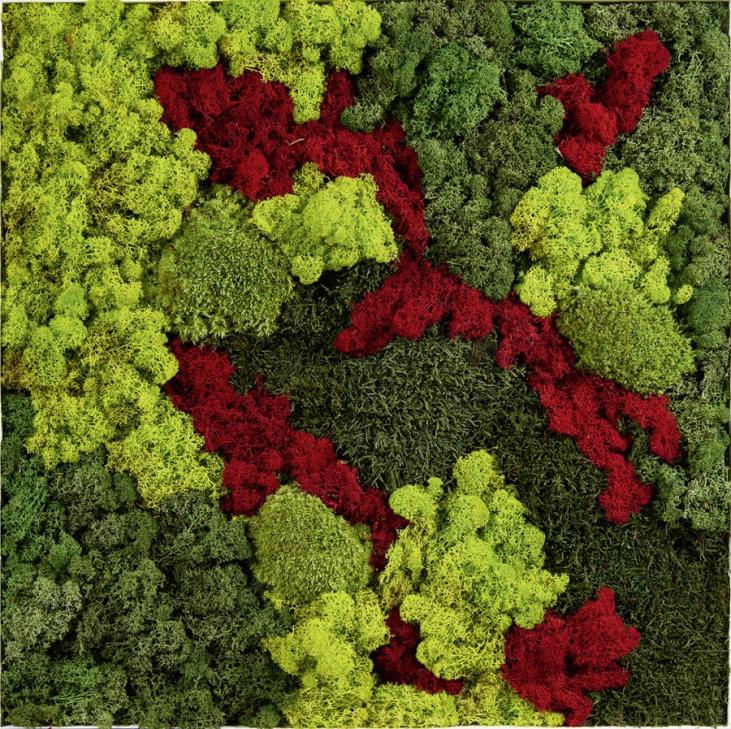 Cadre carré en mousse naturelle stabilisée coloris rouge et vert 60x60