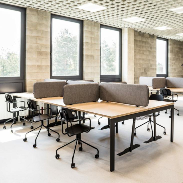 Chaises de bureau en bois contreplaqe NEW SCHOOL de MDD pour salle de reunion, home office