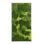 Cadre végétal rectangulair nuance vert 120 x 60